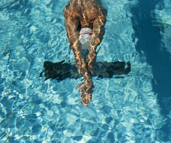 angle-eleve-nageur-masculin-dans-piscine-eau
